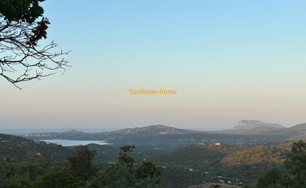 WhatsApp Bild 2025-10-05 um 19.52.28_400cd7f4